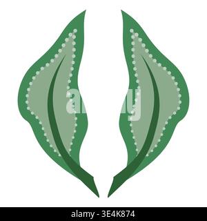 Green leaves vector illustration in vintage style. Delicate green colors. Two green leaves on white background. For textile, design projects and cards Stock Vector