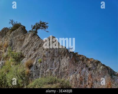 A high-angle shot of a sharp rocky ridge featuring dry bushes and small trees clinging to the stone. The limestone formations stand out against a deep Stock Photo