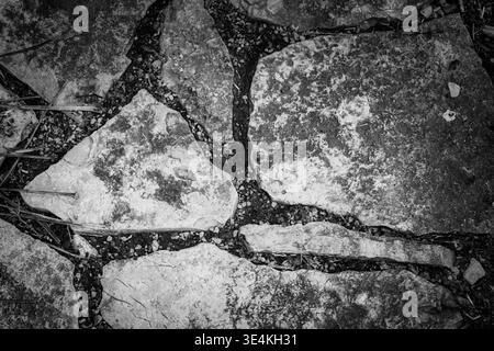 Top view of weathered stone pavers in black and white featuring high contrast textures of natural limestone and dark soil for background design use Stock Photo