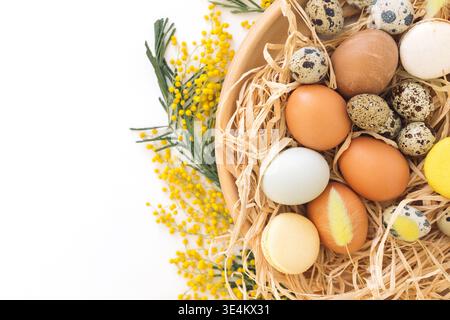 Overhead view of a rustic Easter bird's nest with assorted chicken and quail eggs, macarons and yellow mimosa flowers on a white background Stock Photo