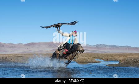 Mongolian eagle hunter (berkutchi) riding a horse in a river with a blindfolded golden eagle, Altai Mountains, Bayan-Olgii, Western Mongolia, Mongolia Stock Photo