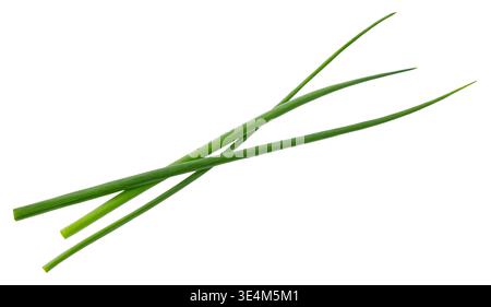 Green onion, fresh chives isolated on white background Stock Photo