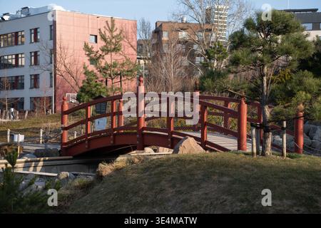 red wooden arched pedestrian bridge in an urban garden park bathed in late-winter sunlight, framed by pine trees, grassy mounds and boulders with resi Stock Photo