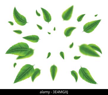 Green realistic tea leaves explosion with blurry leaf motion. Vector isolated illustration. Stock Vector