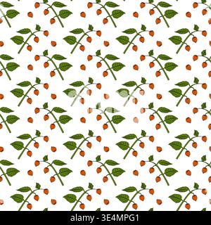 Physalis branch in cartoon style. Seamless pattern. Stock Vector
