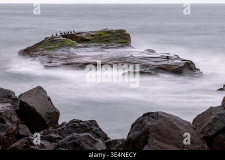 Waves break against rocks on the Pacific Coast near Tokeland Washington USA Stock Photo