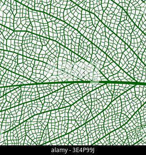 Green leaf vein texture, plant cell closeup background. Intricate vector pattern with delicate vein structure of green leaf, and natural cellular mosaic. Organic texture for eco friendly branding Stock Vector