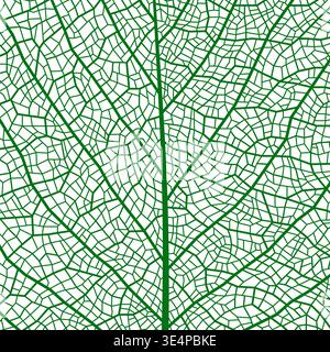 Green leaf vein texture, plant cell closeup background. Realistic tree leaf skeleton pattern, microscope close up macro view bg structure with veins and cells. Vector natural textured foliage backdrop Stock Vector