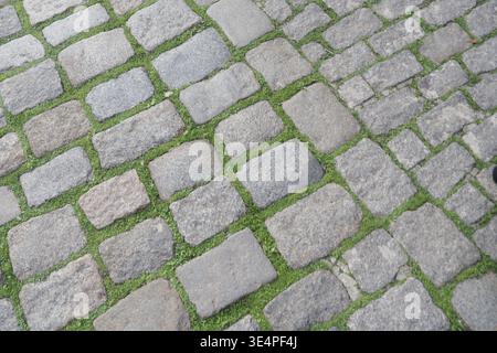 Cobblestone path with grass growing between stones Stock Photo