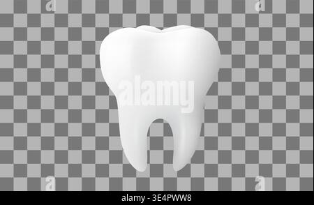 A realistic white human tooth isolated on a transparent background. Ideal for dental care and oral hygiene. Vector illustration Stock Vector