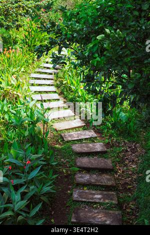 Narrow stone pathway winding through lush green garden with overhanging foliage and small red flowers. Stock Photo