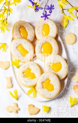 Easter egg cookies with lemon orange curd, covered with white icing and forsythia flowers on a white background. Rustic style, selective focus. Stock Photo