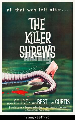 This vintage American movie poster from 1959 advertises the science fiction horror film, "The Killer Shrews." It features dramatic typography for the title, a monstrous segmented tail, a pink high-heeled shoe, and splatters of blood, with the tag line "all that was left after..." suggesting a grim outcome. Stock Photo