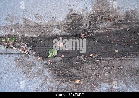 Close-up view of tire tracks imprinted in wet mud on an asphalt surface Stock Photo