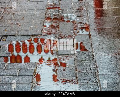 Reflections of street lights in rain puddles on wet pavement. Urban scene with abstract light patterns and moody atmosphere. Stock Photo