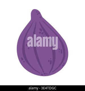 Whole fig flat vector, realistic fresh fruit isolated on white background for organic food design Stock Vector