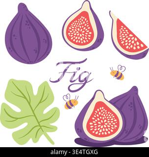 Fig vector set with fruits, slice, leaf and bees, organic food collection isolated on white Stock Vector