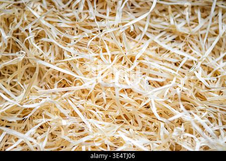 Natural wood wool and wood shavings texture for packaging, crafts and decoration Stock Photo