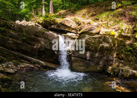 landscape with small waterfall surrounded by the beech forest on a summer day. rocks with moss in dappled light. pristine nature scenery on the turych Stock Photo