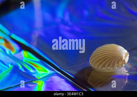 White seashell resting on shiny iridescent surface reflecting vibrant blue green and purple hues with abstract light patterns creating colorful backgr Stock Photo