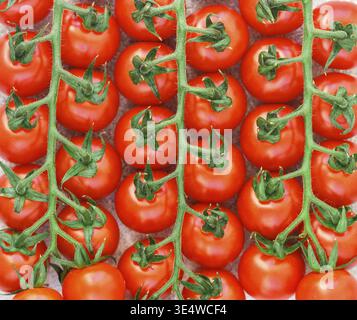 Food, Red cherry tomatoes on branches close-up. Culinary background. Fresh vegetables. Selective focus, top view Stock Photo