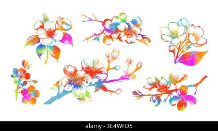 Set Cherry branches with flowers, colored sakura isolate on white background. Hand drawn. Not AI, vector illustration. Stock Vector