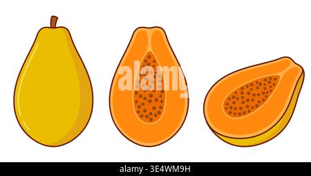 Papaya fruit cartoon drawing set. Whole, half, cross section cut. Simple hand drawn vector clipart illustration. Stock Vector