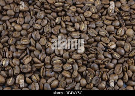 Full frame authentic background texture of roasted 100% Arabica Civet coffee beans. Dense overhead view of specialty Kopi Luwak beans. Stock Photo