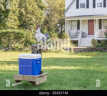 a blue and white cooler full of chicken eggs for sale at an honor stand in southold, long island Stock Photo