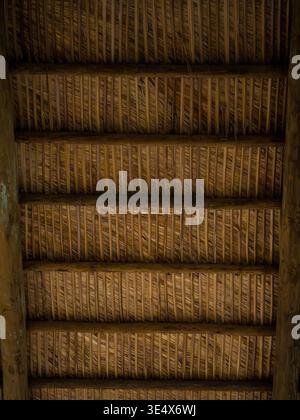 Symmetrical rows of dried palm leaves are fastened to dark timber rafters on the underside of an authentic tiki hut. Stock Photo