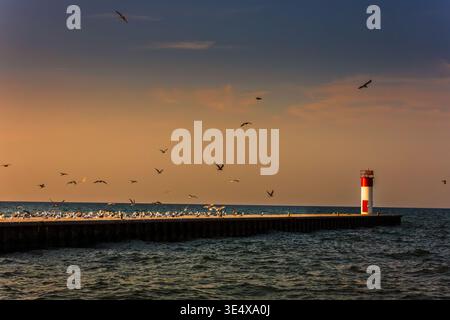 The historic white and red Port Dover West Pier Lighthouse stands as a sentinel on Lake Erie during a vibrant sunset, with a flock of seagulls in flig Stock Photo