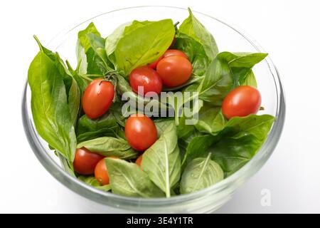 Close up of a bowl full of fresh plucked basil leaves and cherry tomatoes Stock Photo