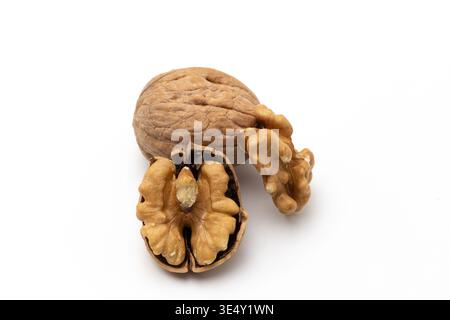 Close up of shelled walnut and walnut kernels against a white background Stock Photo