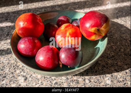 Fresh apples and nectarines in bowl on kitchen counter, healthy food. Stock Photo