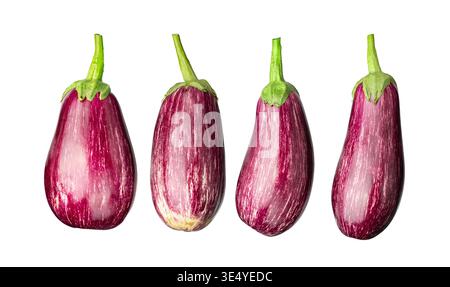 Set of fresh striped eggplants graffiti aubergines isolated on white background. Collection of raw organic vegetables in different shapes and angles. Stock Photo