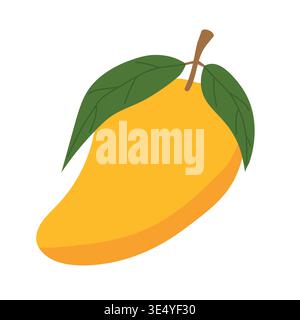 mango fruit, fresh tropical juicy ripe exotic fruit, sweet summer ingredient- vector illustration Stock Vector