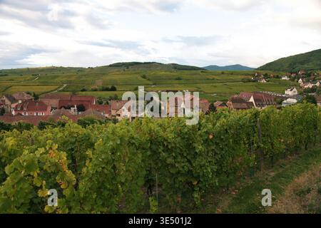 Vineyard scene in France featuring lush grapevines, a charming village with red-roofed houses, and rolling hills beneath a cloudy sky Stock Photo