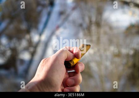 a male hand holding extinguished cigar, outdoor close up Stock Photo