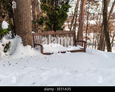 an empty wooden bench covered with snow in frosty park, winter scenery Stock Photo