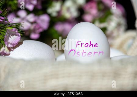 An egg with the text FROHE OSTERN (digitally added), with spring flowers in the background Stock Photo