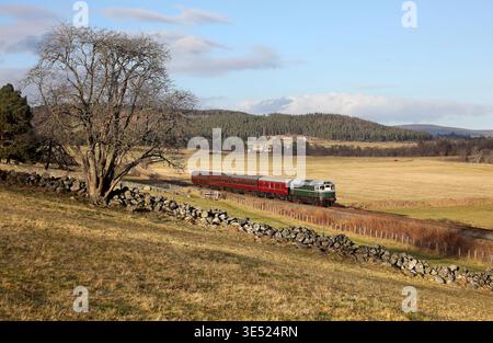 D5394 approaches Broomhill loop off the Strathspeys extension on 27.2.26. Stock Photo
