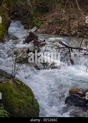 Detailed view of crystal clear mountain water rushing over vibrant green mossy stones in a wild forest. Stock Photo