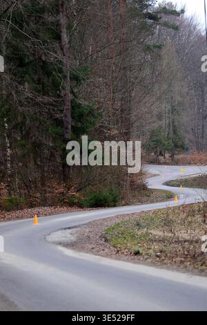 asphalt road winding through the forest with orange  cones marking the trail running route Stock Photo
