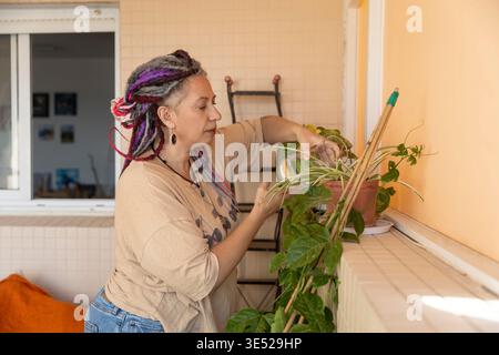 Middle aged woman with colorful dreadlocks watering green plants on her balcony at home. Stock Photo