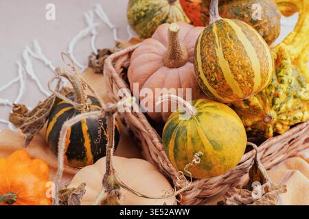 Close-up of decorative pumpkins and squash in basket Stock Photo