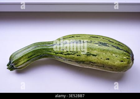 A single, fresh green zucchini (courgette) with dark green stripes and mottled patterns resting on a white surface. The vegetable has a curved, Stock Photo