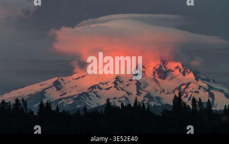 Mount Hood glows at sunrise beneath dramatic pink lenticular clouds in Oregon. Stock Photo