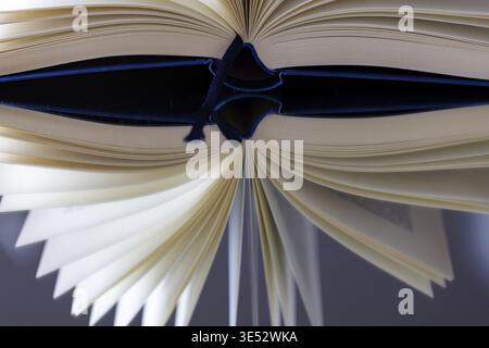 An open blue book on a mirror Stock Photo