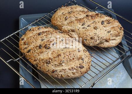 Two freshly baked loaves of bread rest on a cooling rack, showcasing their golden crust and hearty texture, ready to be enjoyed. The seeds add a visua Stock Photo