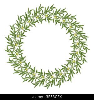 Olive tree branch lush round wreath vector illustration. Hand drawn frame with leaf and twig in botanical style. Green floral element for menu template. Perfect for logo design and product packaging. Stock Vector